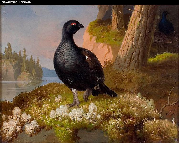 Ferdinand von Wright Black Grouses 1864